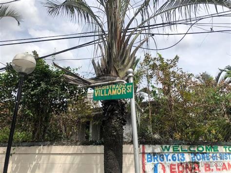 lot for sale manila
